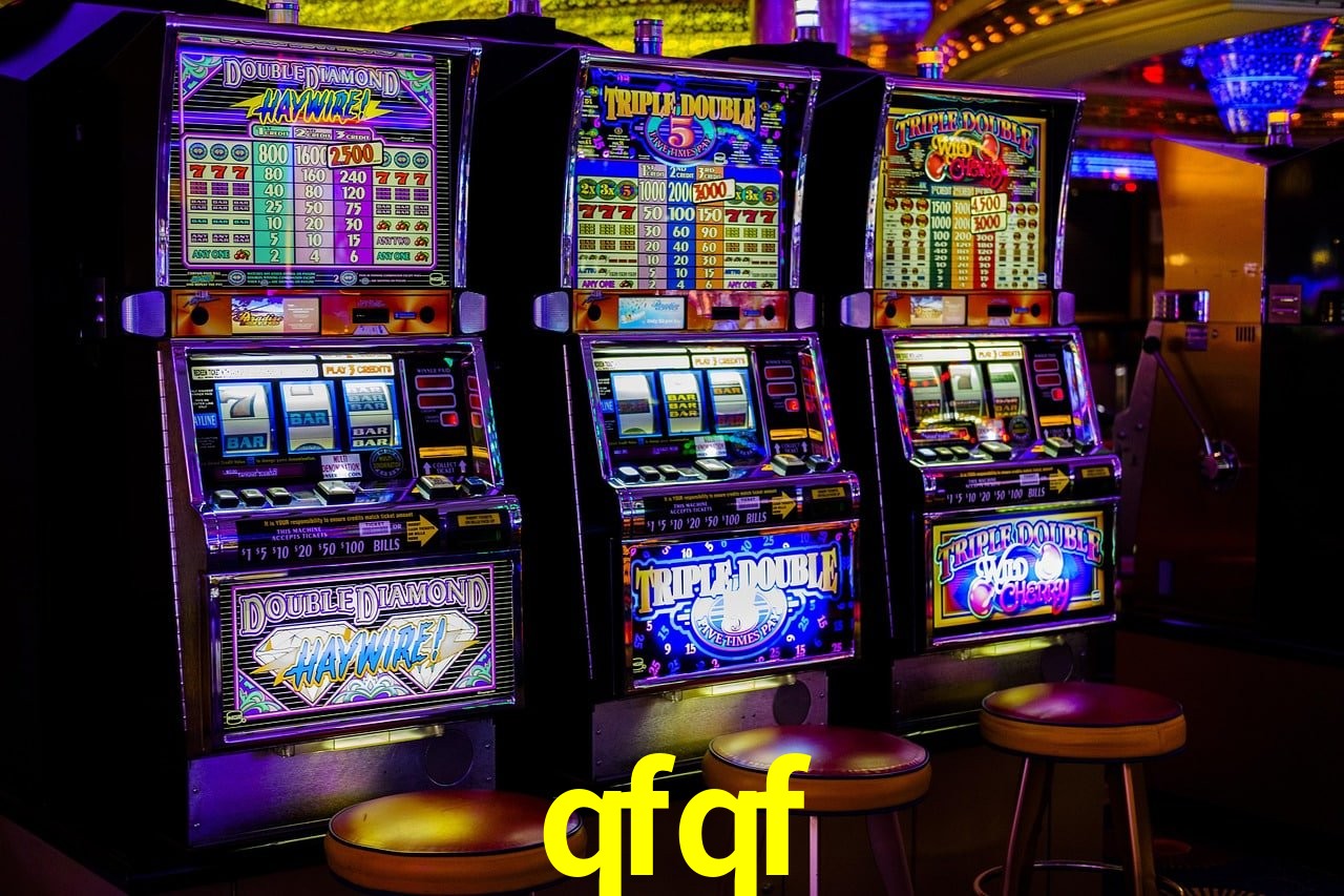Programa VIP qfqf